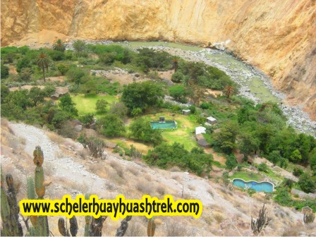 Oasis de Sangalle Ca??n del Colca